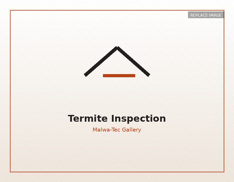 Termite inspection at a property in Indore