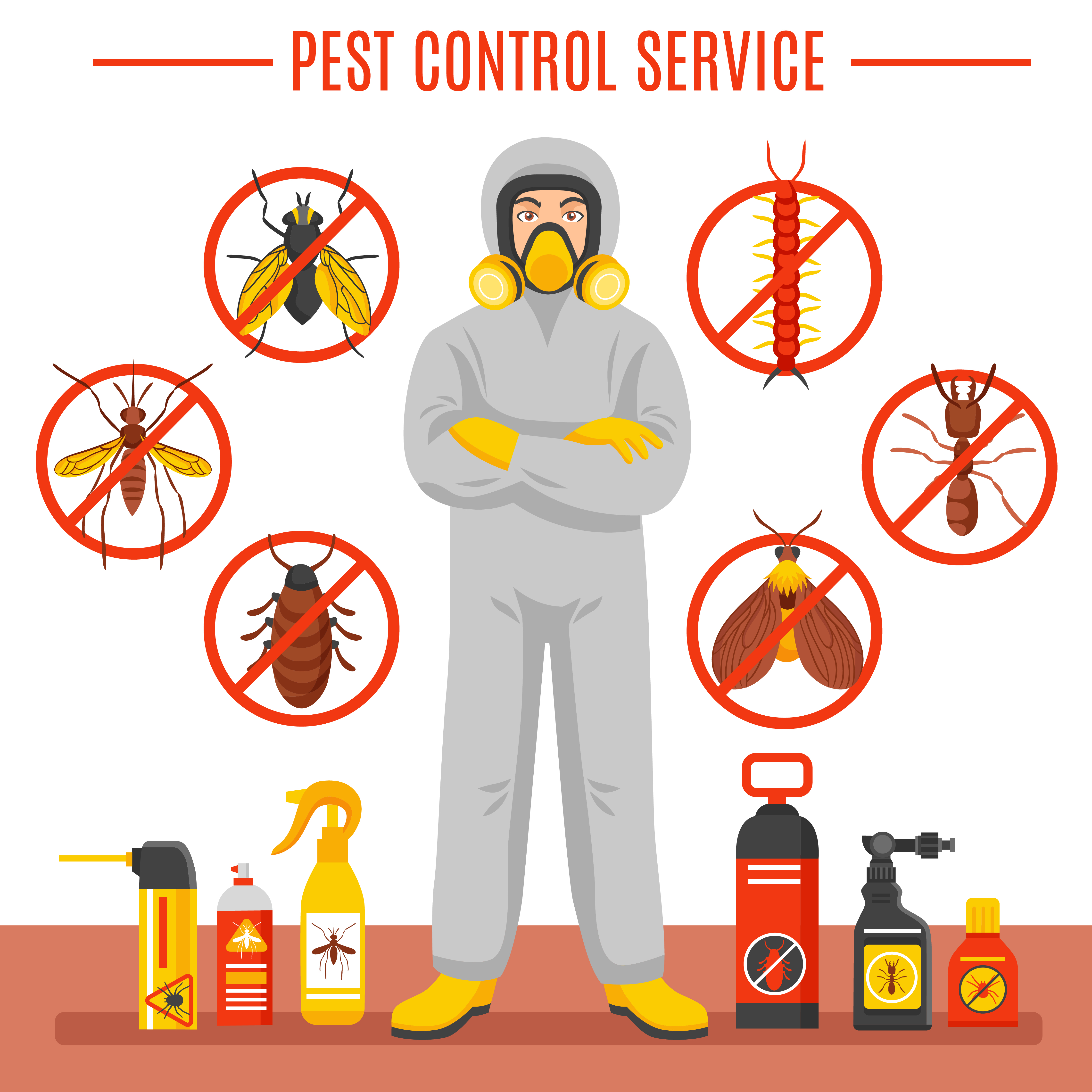 Malwa-Tec Services technician conducting a commercial pest control site visit in Indore