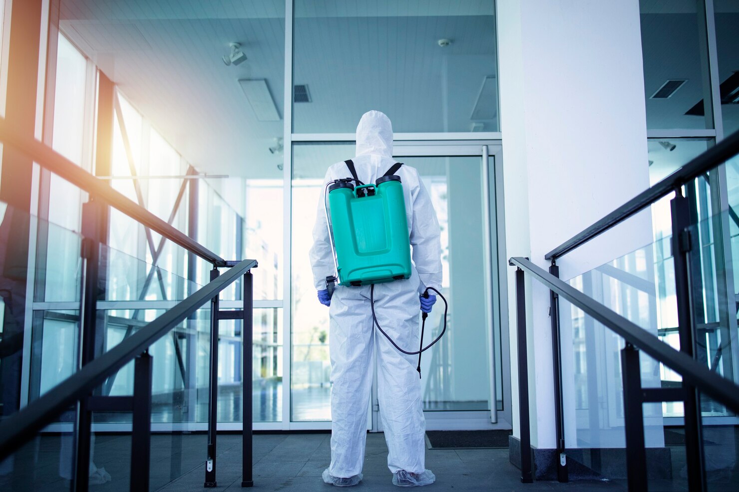 Commercial pest control service for offices and warehouses in Indore