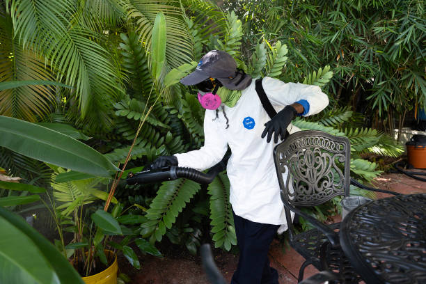 Mosquito and fly control service