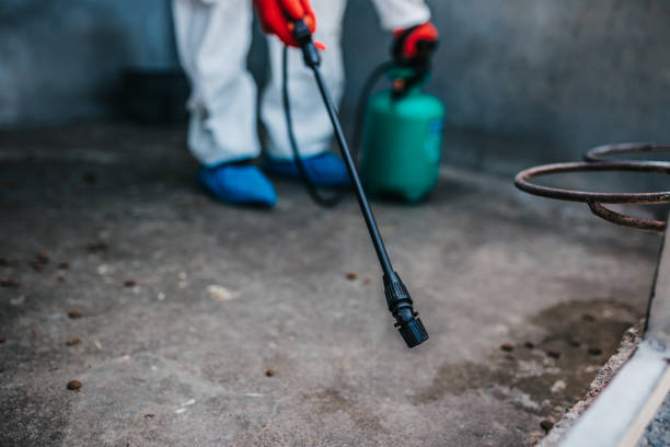 Rodent management service for warehouses and homes