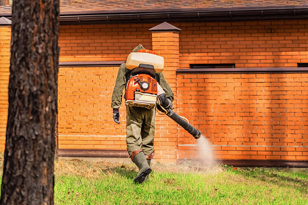 Spider and lizard management service