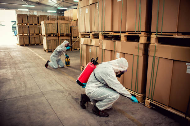 Termite management and inspection service