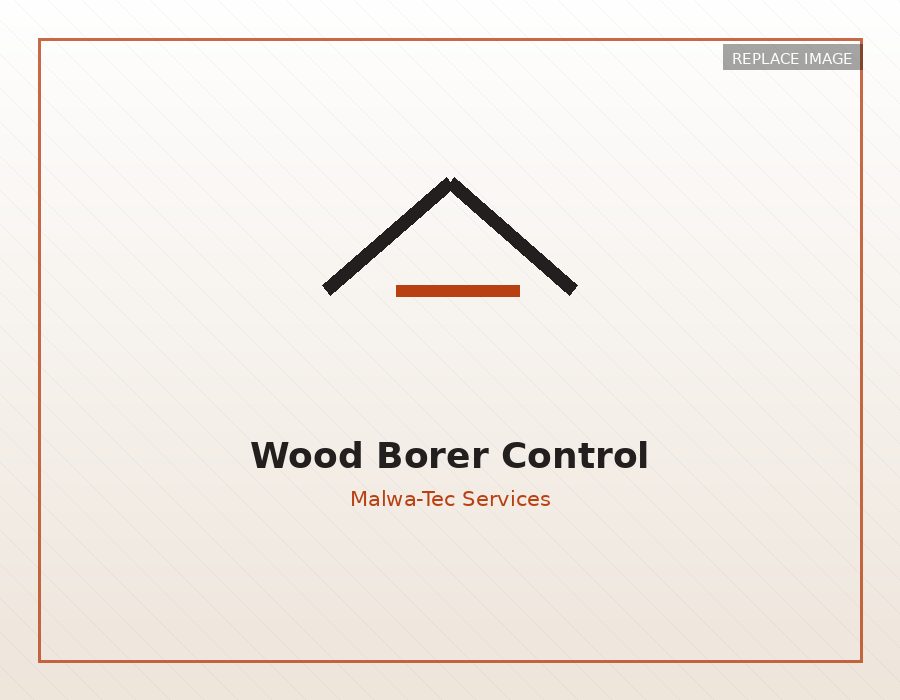 Wood borer control service
